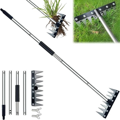 Stainless Steel Weeding Tool - 8 Tine Garden Rake with Adjustable Handle (31-63), Heavy Duty Weed Puller for Soil Cultivation, Rust-Resistant Garden Hand Tool
