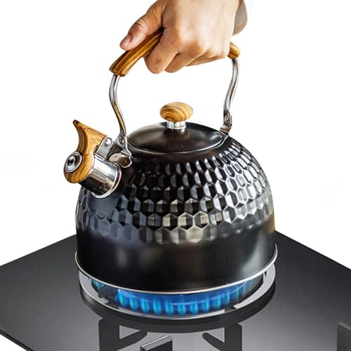 Hervidor para estufa, con silbato de 2,5 litros, mango ergonómico, hervidor de silbato para la preparación del té, para cocina, picnic, jardín, al aire libre, apartamento