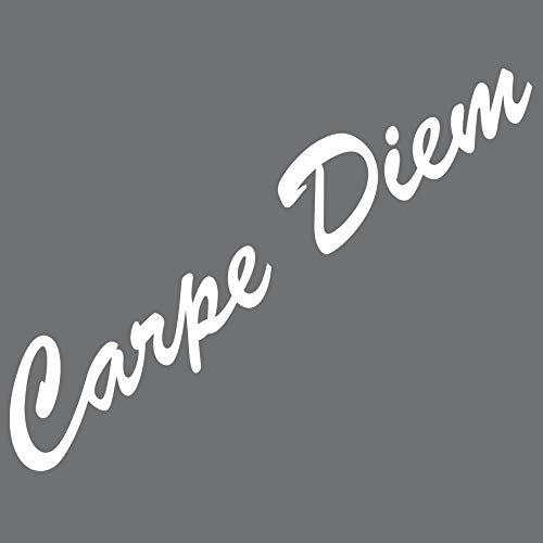 GreenIT 20 cm Carpe Diem Lettering Sticker Tattoo Decorative Film Wall Sticker for Car Wall Door Window (White)