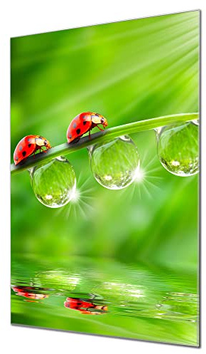 banjado Glas-Pinnwand 40x60 mit Tiermotiv für Notizen, beschreibbar | Dekoratives Magnetboard für Organisation, mit Motiv Für Jeden Einen aus der Tierwelt