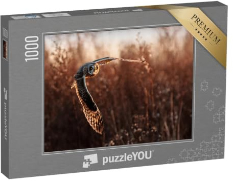 puzzleYOU: Puzzle 1000 Teile „Sumpfohreule im Flug bei der Jagd“ – aus der Puzzle-Kollektion Eulen, Vögel, Exotische Tiere & Trend-Tiere