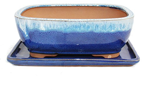 Exotenherz - Bol à bonsaï avec soucoupe taille 4 - bleu/beige - rectangulaire - modèle G5B - L 25,5 cm - l 19 cm - H 9 cm
