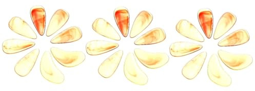 Vaguelly 24stücke Guzheng Daumenhülsen Teiliges Hochwertige Fingerpick-schutz Für Erwachsene Amberfarben Für Anfänger Und Profis Schützend Und Langlebig Für Musikinstrumente