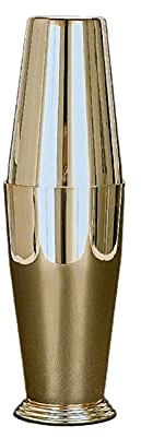 Cocktail Shaker Set Ensemble à Cocktail Shaker Cocktail Shaker Professional Shaker Inox Shaker Martini Shaker Buvez Shaker for Bar à la maison Bar Essential Bar Gadget Parfait for les débutants Shaker