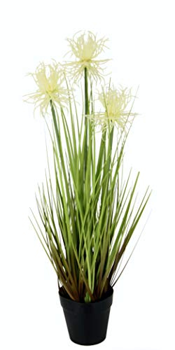 Flair Flower Protea im Grasbusch im Topf Nadelkissen Busch Ufergras Dekogras Gras Kunstgras künstliche Pflanzen Kunstpflanze Grünpflanze Solitärgras Dekopflanze