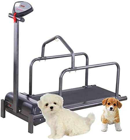 HXLDZOU Haustierhund -Laufband, Fitnesshund -Lauf -Trainingsmaschine, Innenhilfe von Haustier -Übungen Tredmehl mit LED -Displayscreen, 200 -W -Pferdestärke, für kleine Hund Lose Wiegen wiegt