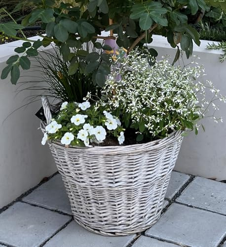 Dekoleidenschaft Pot de fleurs en rotin rustique, grand, rond, gris, pour l'extérieur, pot de fleurs, jardinière, pot de plantation pour l'extérieur, pot de fleurs, jardinière, pot de plantation (Ø