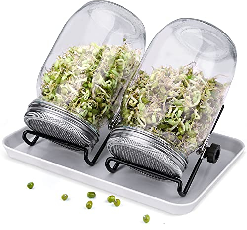 Demoyaya Sprossen-Einmachgläser, Samenkeimgerät-Set, 2 Sprossen-Einmachgläser mit Edelstahl-Siebdeckeln, Ständern, Keimgerät-Set, Sprossenglas-Set zum Keimen von Samen, Brokkolibohnen