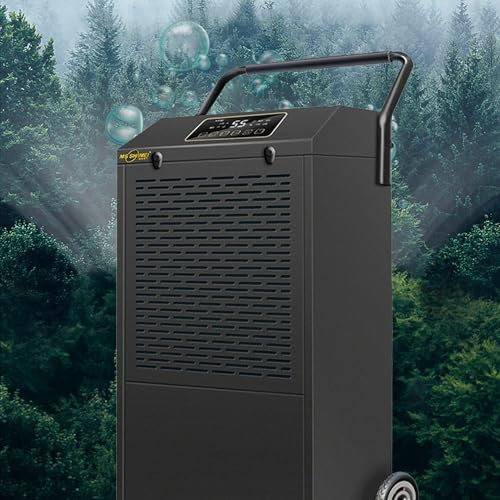 RayGenius Deshumidificador De 60l con Indicador Digital De Humedad, Deshumidificador En Seco con Drenaje Continuo, Temporizador De 24 Horas, Ideal para Dormitorios Y BañOs,Black