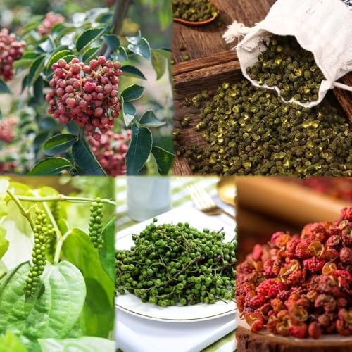 semillas de pimiento resistentes, cama elevada balcón de jardín para hombres, exóticas hortalizas invierno semillas 100pcs