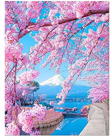DCIDBEI Peinture Diamant Paysages Nature 40x50cm Peinture Diamant Paysage Rose Diamond Painting Cerisier Japonais Cicegi Fleurs de Cerisier Broderie Diamant Paysage Japon Painting Diamant Japonais
