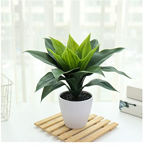yaoqijie Simulation Grüne Pflanze Aloe Vera Topf Indoor Kleine Ornamente Künstliche Blume Bonsai Dekoration Simulation Pflanze Sukkulenten Dauerhaft (Farbe: JH5196)