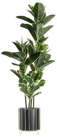 NTIYOU Fake Tree Nordic Greenery Plant Artificial Tree Plant Rubber Tree Indoor Bonsai Fake Trees Green Plant Home Office Decoration Home Plants (Size : 151cm)