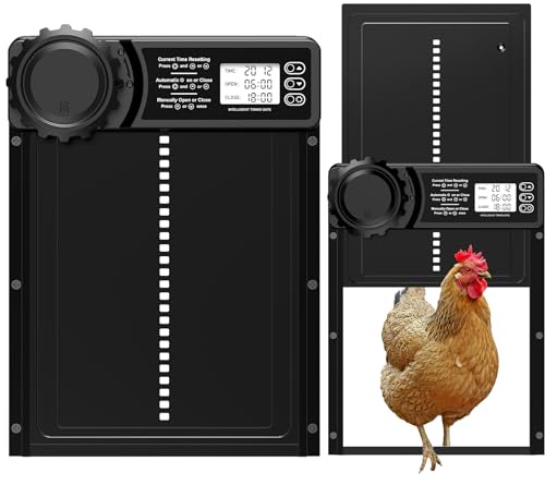 MASTERFUN Porta Pollaio Automatico con Display, Timer, Antipizzicamento, Impermeabile