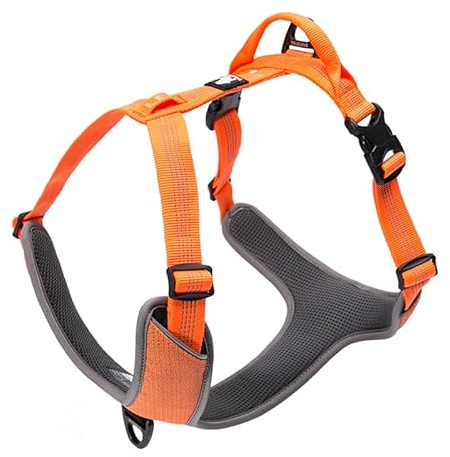 True LOVE hundsele utomhus äventyr II reflekterande väst med 2 koppeltillbehör matchande koppel och krage tillgänglig TLH6071 orange