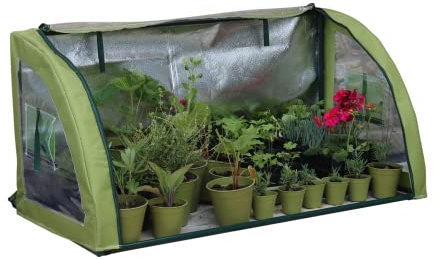 Haxnicks Light-Booster Cold Frame, Silver Foil Back Panel Increases Light By Up To 50 Percent, W150 x H160 x D40cm, LIGHTB030101