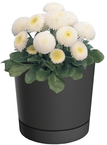 botle Vaso da fiori con sottovaso, diametro 19,9 cm, altezza 19,6 cm, rotondo, opaco, moderno, liscio, alla moda, colore antracite, elegante e durevole, decorazione per interni
