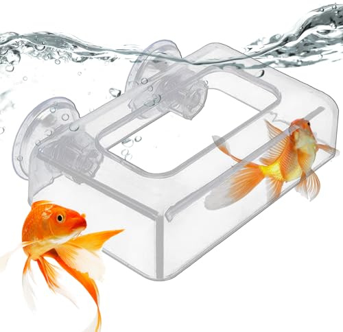 Garnelenfutter mit Saugnapf - transparenter Acrylgarnelenfutter für Aquarien | Fischadoption | Fheders Aquarium | Futterspender für Aquarium