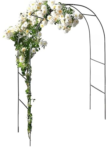 Arche de jardin pour plantes grimpantes - Treillis en métal - Pergola pour clématites - 0,8 m de large x 2 m de haut - Support robuste pour vignes et fleurs - Décoration extérieure - Finition noire