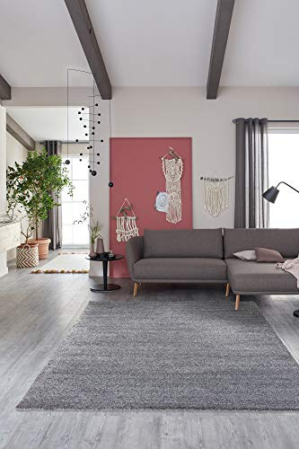 Schöner Wohnen Kollektion Pflegeleichter Wohnzimmer Teppich Pure — Antistatischer Flur und Kurzflorteppich (80x150cm, Silber)