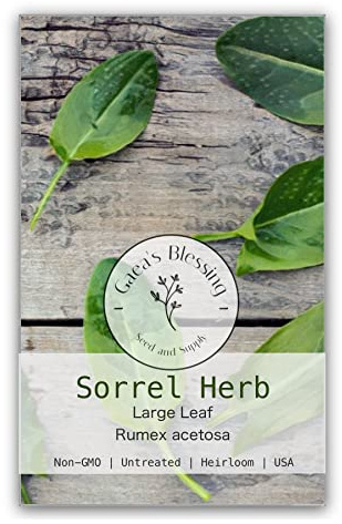 Gaea's Blessing Seeds - Sorrel Herb Seeds - Non-GMO Seeds with Easy to Follow Planting Instructions - Open-Pollinated High Yield Heirloom