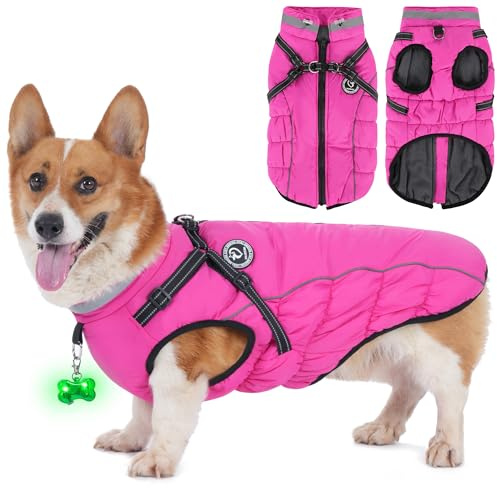 HezzLuv Hundemantel Winter, Hundemantel Wasserdicht, Warme Hundejacke mit Geschirr, Reflektierende Streifen, LED-Leuchtkragen, Winterjacken & Wintermäntel für Kleine, Mittelgroße Hunde, Rosa, XXL