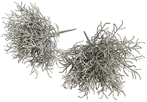 Nova-Nature künstlicher Calocephalus (Silberkörbchen) Farbe: grau (2 Stück)