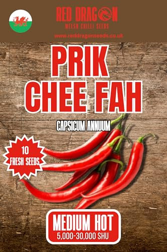 Prik Chi FAA Chilli Seeds - Prik Chee Pepper Seeds - 10 Fresh Thai Chilli Seeds - Prik Chee Fah Pepper Seeds