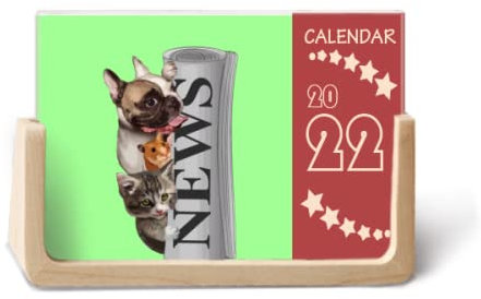 Roll Newspaper Pet Group Art Deco Fashion 2022 Desk Calendar Planner 12 Month