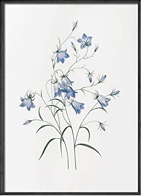 Moderne Pflanzenblumenmalerei Flieder Pfingstrose Redoute Glockenblumen Rosen Dekorative Malerei Wohnzimmer Rosa Wandkunst Bild Poster (Color : A, Size : 30x40cm No Frame)