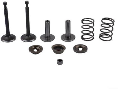 Composants de levage de soupape fiables - Tapets, ressorts, joints pour kits de réparation de moteur GX200