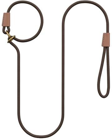 Qianruida Laisse Dressage et Collier 1cm x 180cm Laisse Retriever Laisse Lasso pour Chiens de Toutes Tailles Laisse Coulissante avec Poignée Rembourrée – Marron