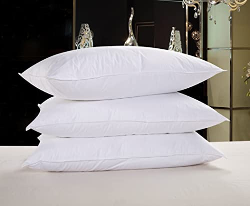 Goose or Duck Down Feather Duvet Quilt Luxury Comforter Deluxe, Super Soft, 3D Baffle Boxes design, Anti Allergy, Double Stiched piping, Best Hotel Quality (2pk of pillow, Goose Down Feather)