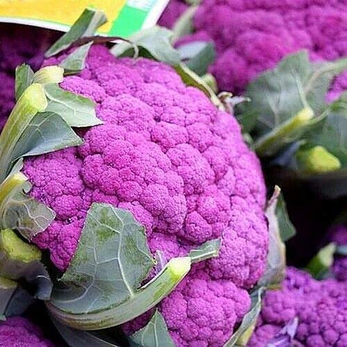 Buy4seeds Vegetable - Purple Cauliflower - DI Sicilia VIOLETTO - 30 Seeds - Brassica for Planting Garden Yard Patio and Useful for Gifts