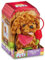 Pitter Patter Pets Walk Along Puppy Cockapoo Dog Electronic Pet For Children from 3 Years Doggy On A Lead toy Gift Electronic Pet For Toddlers Kids Dog Toy