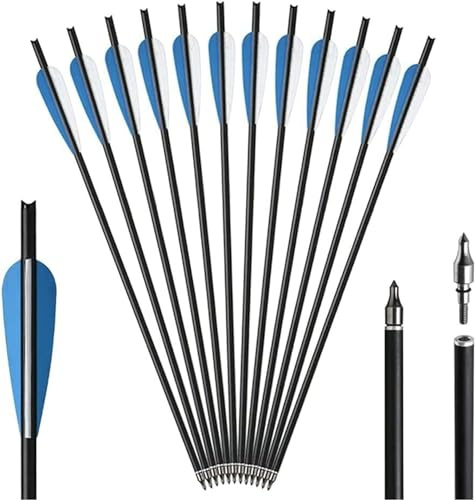 biubiusot Armbrustbolzen Carbonpfeile 12 Stücke 17/20 Zoll Pfeilspitzen Jagd Bogenschießen mit Austauschbarer Einschraubbarer Jagdspitze Pfeilspitze Spitze für Armbrust Outdoor Geschenk (20inch)