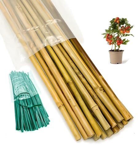 Natürliche Bambusstäbe für Pflanzen, Gartenpflanzenstütze aus Holz, Bambusstangen für drinnen und draußen, mit grünen Bändern, 45,7 cm, Pflanzenstecker für Tomaten, Bohnen, Topfpflanzen, Unterstützung