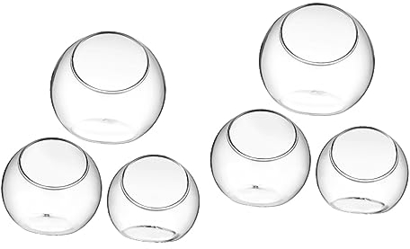 Yardenfun 6 STK Glasschalen Pflanzgefäß-Terrarium Wand Für Zimmerpflanzen Luftpflanzen Terrarien Terrarienschalen Cloche-Terrarium Terrarienglas Groß Klare Blumenvase Fischglas Für Terrarium