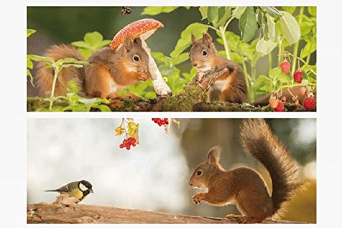 1x 3D Lesezeichen Eichhörnchen 15x5cm Tiere Wackelbild Wackelkarte Buchzeichen Bookmark Bücher Buch