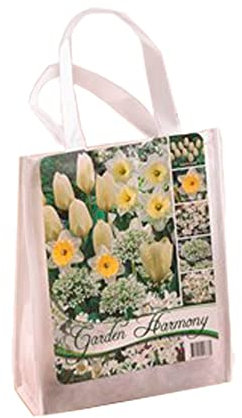 50 x Flower Bulbs for Garden in Gift Bag - Perennial Flowers - with Rich Blooms - Easy to Care & Grow Spring Flowering Bulbs - for A Lovely Looking Garden (White)