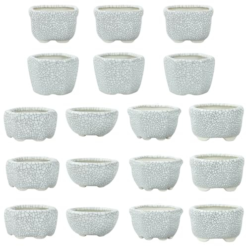 happy bonsai 1,8 Zoll (4,5 cm) 18-teilige glasierte Mini-Töpfe, Grauweiß