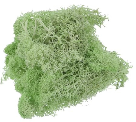 QUARKZMAN Musgo Artificial de 3.5 Onzas, Musgo Falso para Manualidades, Musgo Preservado Natural para Proyectos de Manualidades, Arte Floral, Pared y Decoración (Verde Claro)