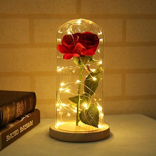 aifengxiandonglingbaihuo Beauty and the Beast Red Rose in a Glass Dome with LED Light and Base for Valentine's, 030A,Italy