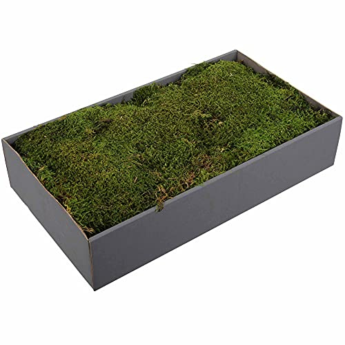 Annastore Finnland-Moos Matten zum Basteln - mit Kunstschnee - vorgereinigt und präpariert - Luftgetrocknet - Bastelmoos - Finnlandmoos - Dekomoos Farbe Nature, Größe 500g