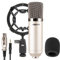 VONYX CM400 Microphone à Condensateur Argent - Microphone de Studio, Grand Diaphragme, pour Chant et Instruments, Faible Distorsion, SPL Élevé, Prise Jack 3,5mm, Idéal pour Studio