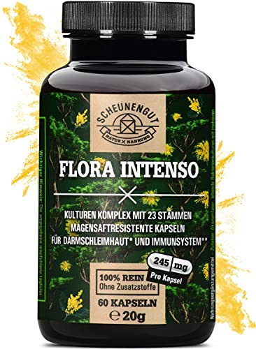 Probiotika -wissenschaftlich abgestimmte 23 Bakterienstämme- hochdosierte 10 Mrd KBE pro Kapsel -magensaftresistent & vegan- mit Lactobacillus & Bifidobakterien DE SCHEUNENGUT®