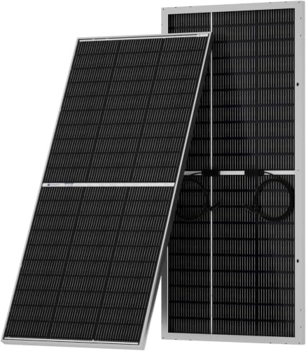 ECO-WORTHY 400 W N-Typ 18BB Bifaziales Solarpanel, 2 Stück, 195 Watt, 12 Volt, monokristallines Solarmodul, netzunabhängig, PV-Strom für Zuhause, Camping, Boot, Schuppen, Bauernhof, Wohnmobile