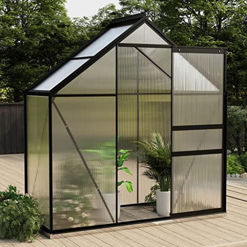 Accueil extérieur AutresSerre Anthracite Aluminium 1,33 m