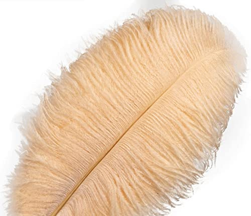 Lot de 10 Plumes d’Autruche Creny de 30 à 35 cm pour décoration d’intérieur ou Mariage(Champagne)