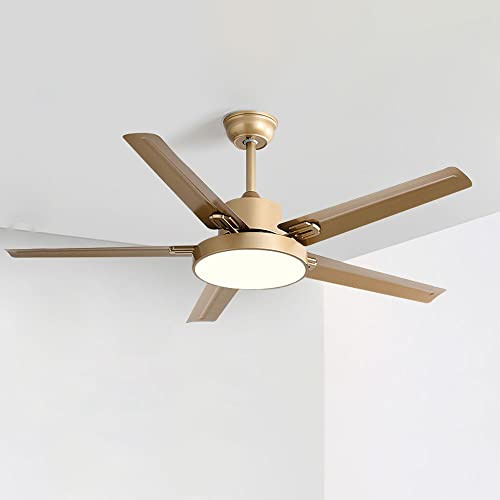 Moddeny 42 Inch Stainless Steel Ceiling Fan Light 5-Blade Outdoor Ceiling Fans For Patios Modern Ceiling Fans With Lights And Remote Mute Flush Mount Ceiling Fans With Lights For Bedroom